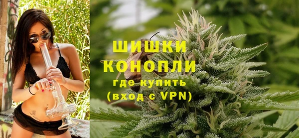 дурь Инсар