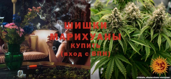 не бодяженный Иннополис