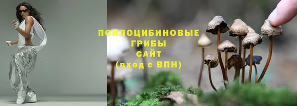 спиды Каменск-Шахтинский