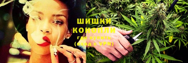 дурь Инсар