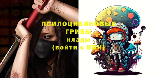 мяу мяу мука Инта