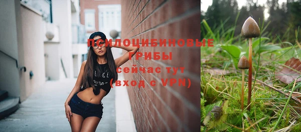 не бодяженный Иннополис